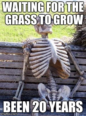 Waiting Skeleton Meme | WAITING FOR THE GRASS TO GROW; BEEN 20 YEARS | image tagged in memes,waiting skeleton | made w/ Imgflip meme maker