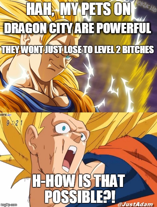 dragon ball super | HAH,  MY PETS ON; DRAGON CITY ARE POWERFUL; THEY WONT JUST LOSE TO LEVEL 2 BITCHES; H-HOW IS THAT POSSIBLE?! | image tagged in dragon ball super | made w/ Imgflip meme maker