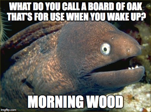 Bad Joke Eel Meme | WHAT DO YOU CALL A BOARD OF OAK THAT'S FOR USE WHEN YOU WAKE UP? MORNING WOOD | image tagged in memes,bad joke eel | made w/ Imgflip meme maker