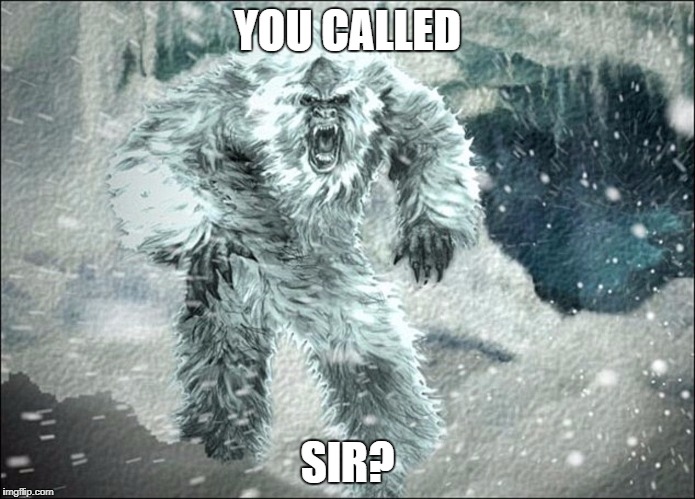 yetti at your command | YOU CALLED; SIR? | image tagged in yetti at your command | made w/ Imgflip meme maker