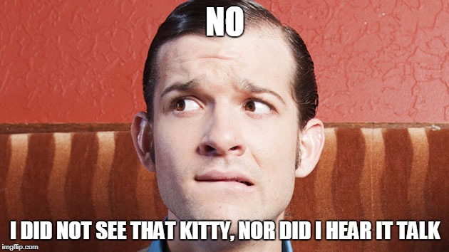 NO I DID NOT SEE THAT KITTY, NOR DID I HEAR IT TALK | made w/ Imgflip meme maker