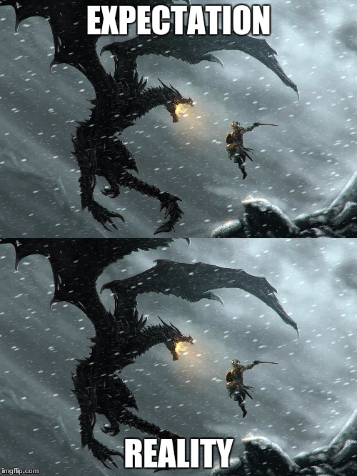Skyrim is Badass | EXPECTATION; REALITY | image tagged in badass,skyrim | made w/ Imgflip meme maker