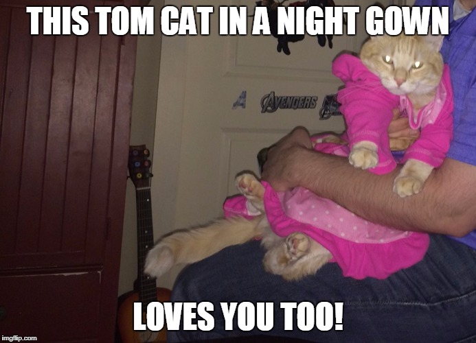 Pajama Cat Homer | THIS TOM CAT IN A NIGHT GOWN LOVES YOU TOO! | image tagged in pajama cat homer | made w/ Imgflip meme maker