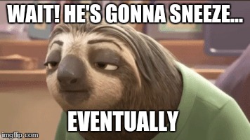 Ultimate Patience Test | WAIT! HE'S GONNA SNEEZE... EVENTUALLY | image tagged in zootopia,flash | made w/ Imgflip meme maker