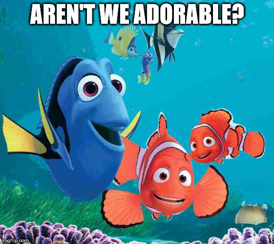 Nemo | AREN'T WE ADORABLE? | image tagged in nemo | made w/ Imgflip meme maker