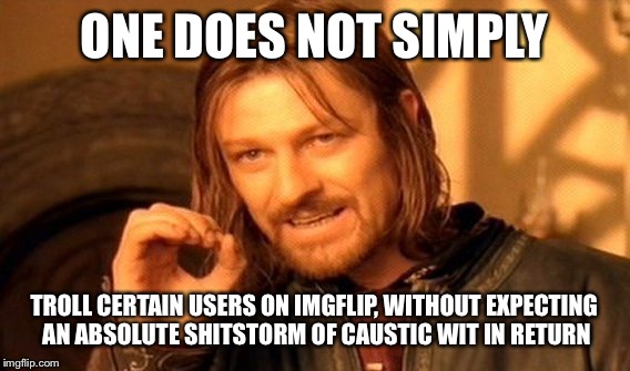Just something I noticed. Maybe this meme has been done before. I care not. | ONE DOES NOT SIMPLY; TROLL CERTAIN USERS ON IMGFLIP, WITHOUT EXPECTING AN ABSOLUTE SHITSTORM OF CAUSTIC WIT IN RETURN | image tagged in memes,one does not simply,imgflip users,imgflip,troll | made w/ Imgflip meme maker