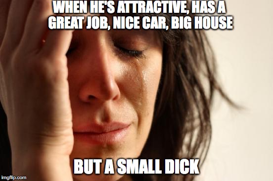 First World Problems | WHEN HE'S ATTRACTIVE, HAS A GREAT JOB, NICE CAR, BIG HOUSE; BUT A SMALL DICK | image tagged in memes,first world problems | made w/ Imgflip meme maker