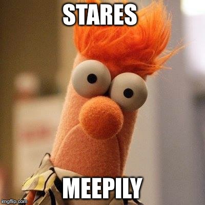 Beeker | STARES; MEEPILY | image tagged in beeker | made w/ Imgflip meme maker