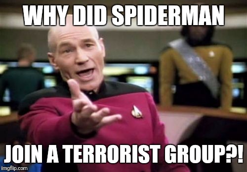 WHY DID SPIDERMAN JOIN A TERRORIST GROUP?! | image tagged in memes,picard wtf | made w/ Imgflip meme maker
