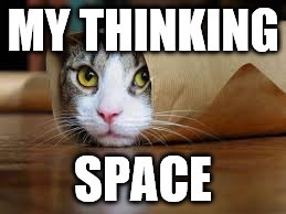 MY THINKING; SPACE | image tagged in cat roll | made w/ Imgflip meme maker
