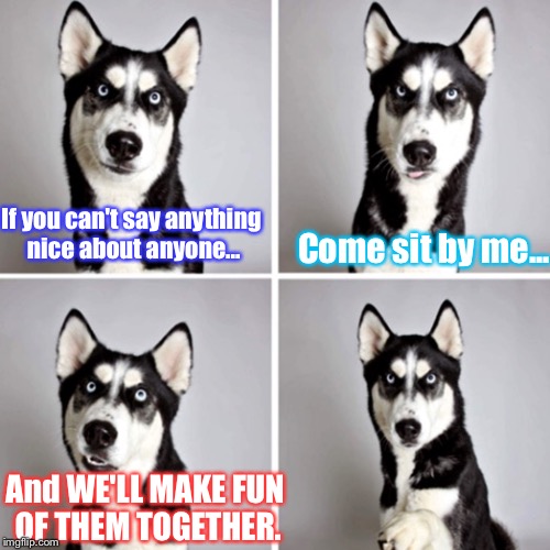 If You've Never Heard This Saying Before? Enjoy... | Come sit by me... If you can't say anything nice about anyone... And WE'LL MAKE FUN OF THEM TOGETHER. | image tagged in sassy dog,memes,animals | made w/ Imgflip meme maker