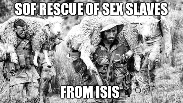 Operators with sheep | SOF RESCUE OF SEX SLAVES FROM ISIS | image tagged in operators with sheep | made w/ Imgflip meme maker