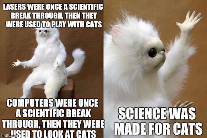 Persian Cat Room Guardian | LASERS WERE ONCE A SCIENTIFIC BREAK THROUGH, THEN THEY WERE USED TO PLAY WITH CATS; COMPUTERS WERE ONCE A SCIENTIFIC BREAK THROUGH, THEN THEY WERE USED TO LOOK AT CATS; SCIENCE WAS MADE FOR CATS | image tagged in memes,persian cat room guardian | made w/ Imgflip meme maker