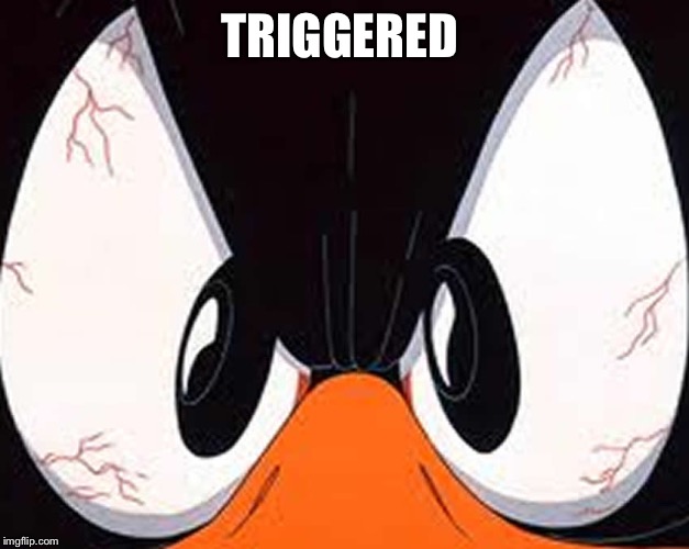 Angry duck | TRIGGERED | image tagged in angry duck | made w/ Imgflip meme maker