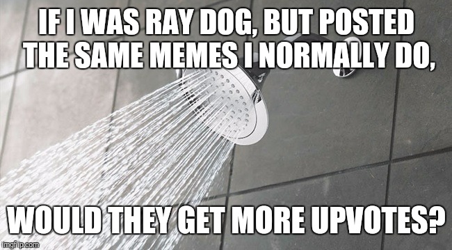 Shower Thoughts | IF I WAS RAY DOG, BUT POSTED THE SAME MEMES I NORMALLY DO, WOULD THEY GET MORE UPVOTES? | image tagged in shower thoughts | made w/ Imgflip meme maker