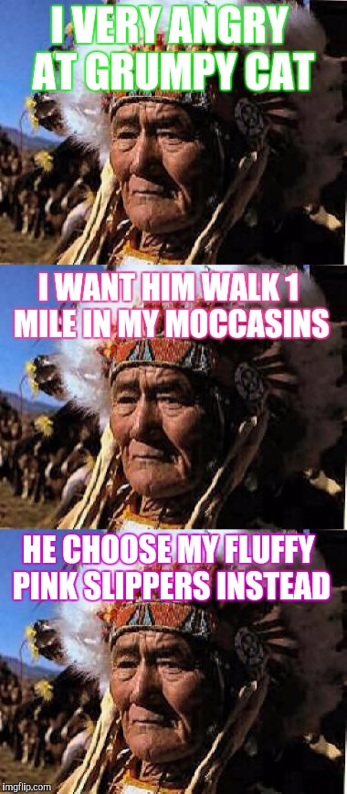 Modern Native American Suffering | I VERY ANGRY AT GRUMPY CAT; I WANT HIM WALK 1 MILE IN MY MOCCASINS; HE CHOOSE MY FLUFFY PINK SLIPPERS INSTEAD | image tagged in memes,funny,indian | made w/ Imgflip meme maker
