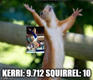 the vault | KERRI: 9.712 SQUIRREL: 10 | image tagged in squirrel,kerri strug,gymnastics,perfect 10 | made w/ Imgflip meme maker