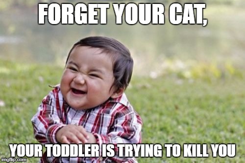 Evil Toddler Meme | FORGET YOUR CAT, YOUR TODDLER IS TRYING TO KILL YOU | image tagged in memes,evil toddler | made w/ Imgflip meme maker