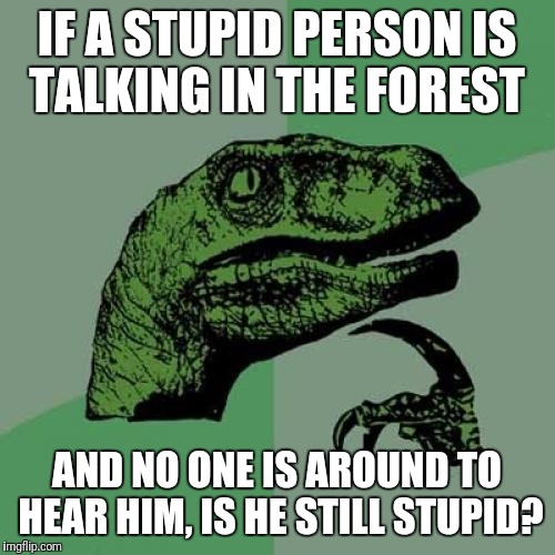 Philosoraptor | IF A STUPID PERSON IS TALKING IN THE FOREST; AND NO ONE IS AROUND TO HEAR HIM, IS HE STILL STUPID? | image tagged in memes,philosoraptor,funny,stupid people | made w/ Imgflip meme maker