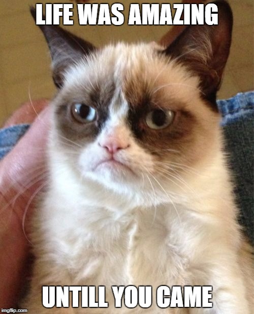 Better go away | LIFE WAS AMAZING; UNTILL YOU CAME | image tagged in memes,grumpy cat | made w/ Imgflip meme maker