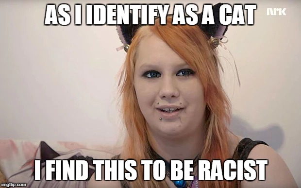 AS I IDENTIFY AS A CAT I FIND THIS TO BE RACIST | made w/ Imgflip meme maker