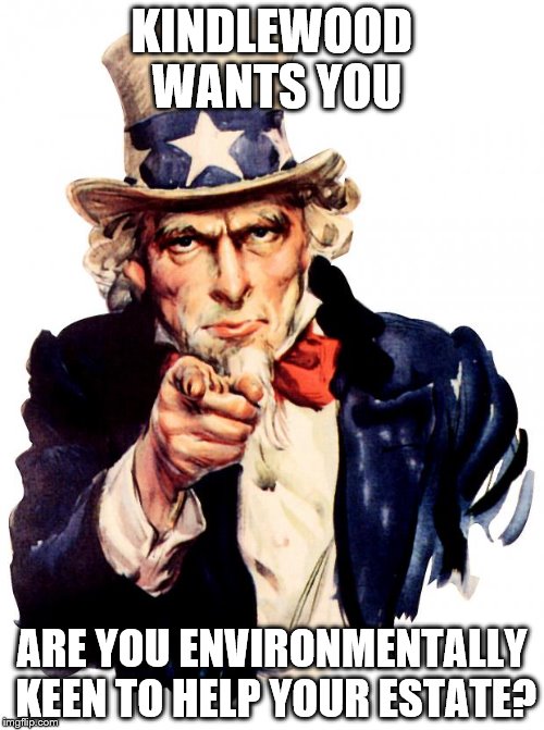 Uncle Sam | KINDLEWOOD WANTS YOU; ARE YOU ENVIRONMENTALLY KEEN TO HELP YOUR ESTATE? | image tagged in memes,uncle sam | made w/ Imgflip meme maker