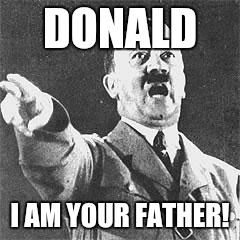 Hitler | DONALD; I AM YOUR FATHER! | image tagged in hitler | made w/ Imgflip meme maker