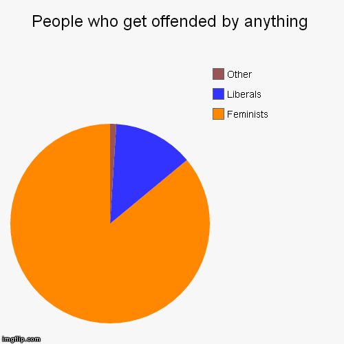 People who get offended by anything | image tagged in funny,pie charts,feminists,liberals,offended,triggeres | made w/ Imgflip chart maker