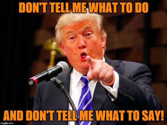 trump point | DON'T TELL ME WHAT TO DO; AND DON'T TELL ME WHAT TO SAY! | image tagged in trump point | made w/ Imgflip meme maker