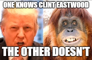 Donald trump is an orangutan | ONE KNOWS CLINT EASTWOOD; THE OTHER DOESN'T | image tagged in donald trump is an orangutan | made w/ Imgflip meme maker