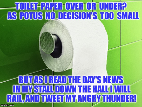 The Importance of Being POTUS  | TOILET  PAPER  OVER  OR  UNDER?  
AS  POTUS  NO  DECISION'S  TOO  SMALL; BUT AS I READ THE DAY'S NEWS IN MY STALL DOWN THE HALL I WILL RAIL, AND TWEET MY ANGRY THUNDER! | image tagged in donald trump,potus,white house | made w/ Imgflip meme maker