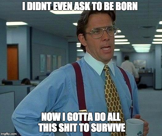 That Would Be Great Meme | I DIDNT EVEN ASK TO BE BORN; NOW I GOTTA DO ALL THIS SHIT TO SURVIVE | image tagged in memes,that would be great | made w/ Imgflip meme maker