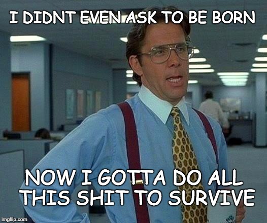 That Would Be Great | I DIDNT EVEN ASK TO BE BORN; NOW I GOTTA DO ALL THIS SHIT TO SURVIVE | image tagged in memes,that would be great | made w/ Imgflip meme maker