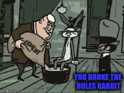 YOU BROKE THE RULES RABBIT | made w/ Imgflip meme maker
