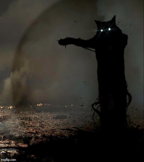 Godzilla Cat | . | image tagged in godzilla cat | made w/ Imgflip meme maker