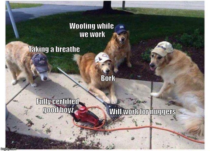 Working doggo | Woofing while we work; Taking a breathe; Bork; Will work for nuggers; Fully certified good boyz | image tagged in doggo,memes,funny memes,funny meme,good boy | made w/ Imgflip meme maker