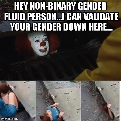 pennywise in sewer | HEY NON-BINARY GENDER FLUID PERSON...I CAN VALIDATE YOUR GENDER DOWN HERE... | image tagged in pennywise in sewer | made w/ Imgflip meme maker