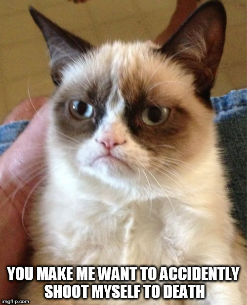 Grumpy Cat Meme | YOU MAKE ME WANT TO ACCIDENTLY SHOOT MYSELF TO DEATH | image tagged in memes,grumpy cat | made w/ Imgflip meme maker