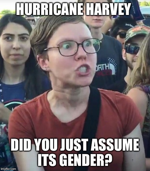 Angry liberal  | HURRICANE HARVEY; DID YOU JUST ASSUME ITS GENDER? | image tagged in angry woman,stupid liberals | made w/ Imgflip meme maker