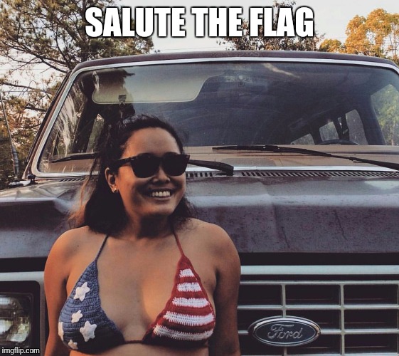Bikini flag girl | SALUTE THE FLAG | image tagged in bikini flag girl | made w/ Imgflip meme maker