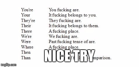 grammar nazi cheat sheet | NICE TRY | image tagged in grammar nazi cheat sheet | made w/ Imgflip meme maker