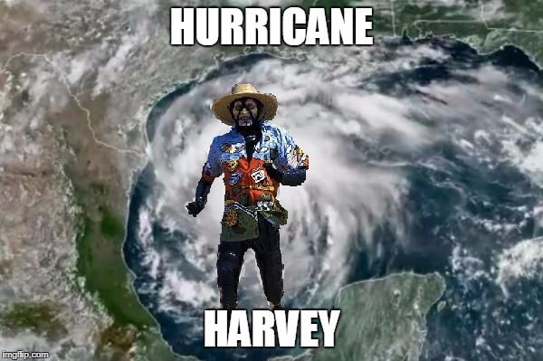 For Farscape Fans! | HURRICANE; HARVEY | image tagged in hurricane harvey,funny,memes,mxm | made w/ Imgflip meme maker