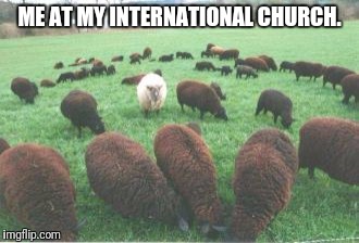 ME AT MY INTERNATIONAL CHURCH. | image tagged in church | made w/ Imgflip meme maker