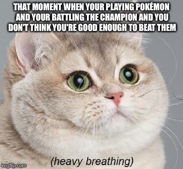 Heavy Breathing Cat Meme | THAT MOMENT WHEN YOUR PLAYING POKÉMON AND YOUR BATTLING THE CHAMPION AND YOU DON'T THINK YOU'RE GOOD ENOUGH TO BEAT THEM | image tagged in memes,heavy breathing cat | made w/ Imgflip meme maker