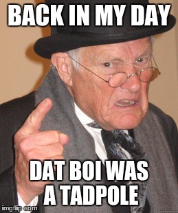 Back In My Day | BACK IN MY DAY; DAT BOI WAS A TADPOLE | image tagged in memes,back in my day | made w/ Imgflip meme maker