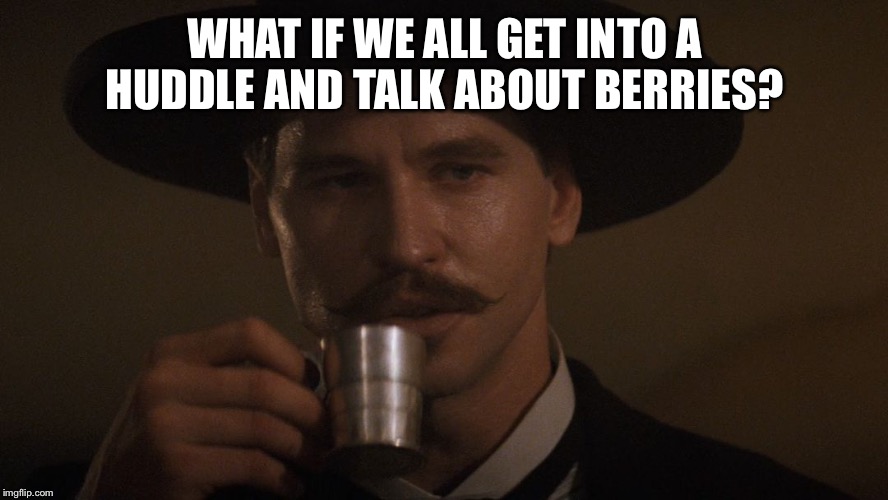 Doc Holiday Memes | WHAT IF WE ALL GET INTO A HUDDLE AND TALK ABOUT BERRIES? | image tagged in doc holiday memes | made w/ Imgflip meme maker