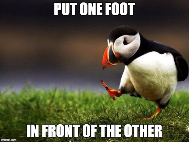 Do you get this song reference? | PUT ONE FOOT; IN FRONT OF THE OTHER | image tagged in memes,unpopular opinion puffin | made w/ Imgflip meme maker