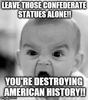 Angry Baby Meme | LEAVE THOSE CONFEDERATE STATUES ALONE!! YOU'RE DESTROYING AMERICAN HISTORY!! | image tagged in memes,angry baby | made w/ Imgflip meme maker