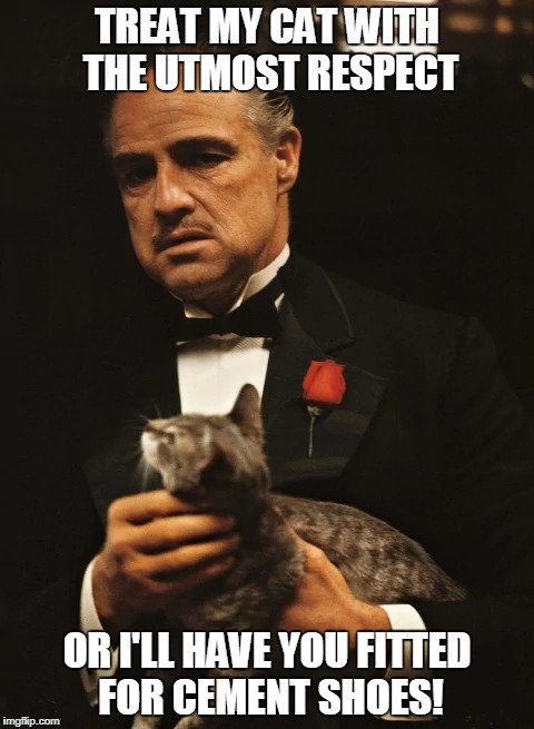 TREAT MY CAT WITH THE UTMOST RESPECT; OR I'LL HAVE YOU FITTED FOR CEMENT SHOES! | image tagged in animals,cats,godfather | made w/ Imgflip meme maker