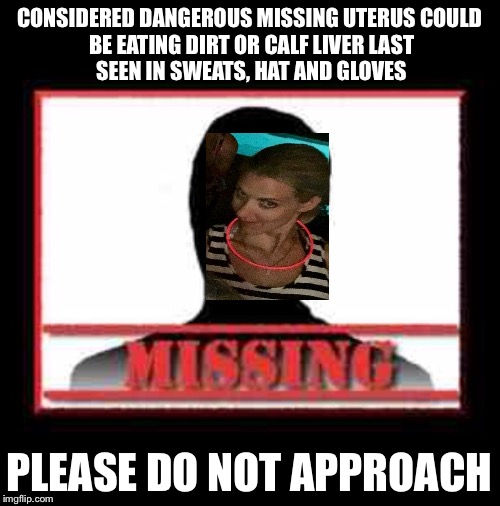 Missing | CONSIDERED DANGEROUS
MISSING UTERUS
COULD BE EATING DIRT OR CALF LIVER
LAST SEEN IN SWEATS, HAT AND GLOVES; PLEASE DO NOT APPROACH | image tagged in missing | made w/ Imgflip meme maker